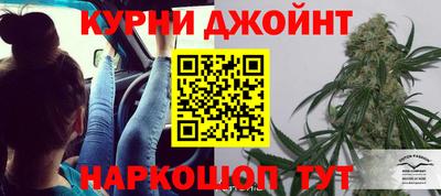 ГАЛЛЮЦИНОГЕННЫЕ ГРИБЫ Нальчик